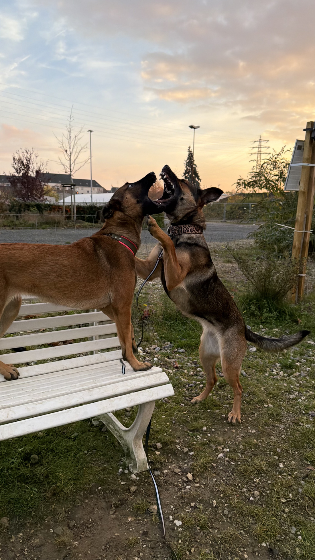 Spenden Sozialkontaktstunde