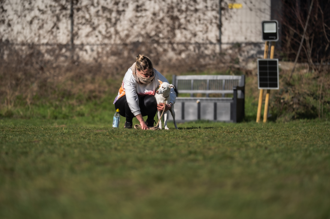 Hunde fühlen & verstehen 