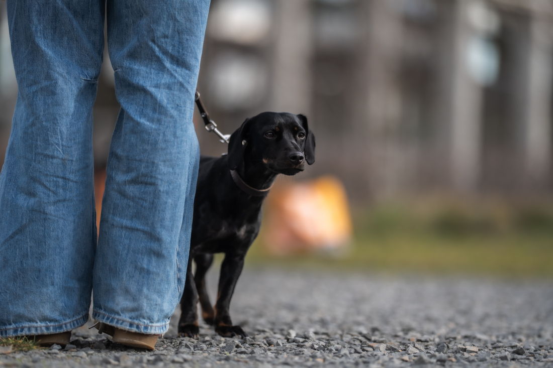 Alltagskurs: Gelassen durch den Trubel
