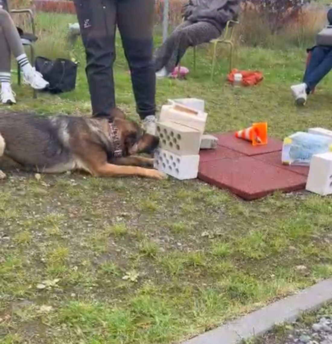 Objektsuche für Beginner